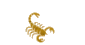 Scorpio
